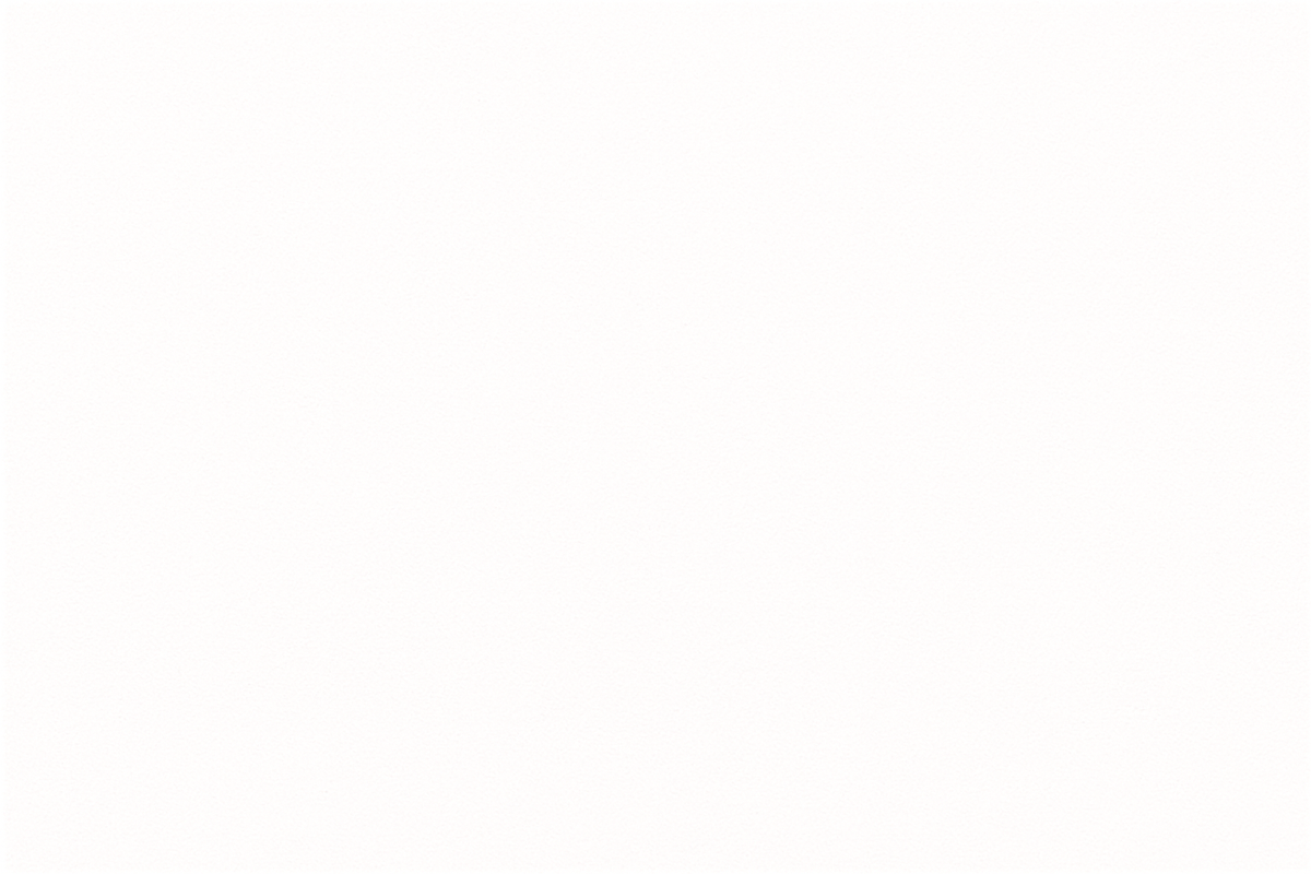 solid white image
