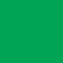 1/32"  Spring Green Matte Eco-Thin Acrylic